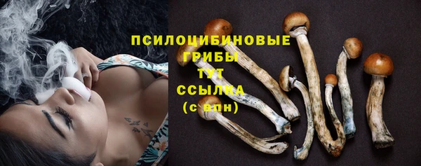 эйфоретик Медногорск