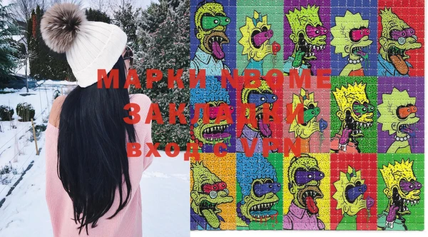 твердый Майский